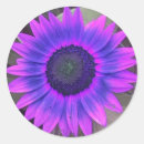 Search for lilac floral stickers Sunflower