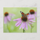 Search for io postcards Nature