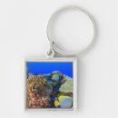 Search for atoll key rings Maldives