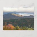 Search for stowe Fall