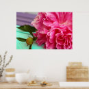 Search for peony art Girly