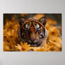 Search for amid posters Nature