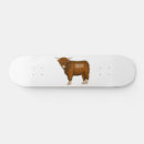 Search for highland skateboards Scottish
