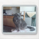 Search for rescues mousepads Shelter