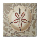 Search for seaside tiles Sonnet