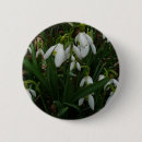 Search for snowdrop badges White