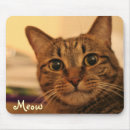 Search for cute faces mousepads Cat