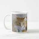 Search for golden eyes mugs Whiskers