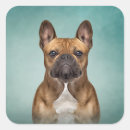 Search for dog drawing stickers Beautiful