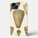 Search for conch electronics Sea life