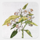 Search for plant trees stickers Flowers