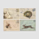 Search for paris tissue paper French