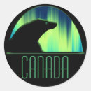 Search for polar animals stickers Cub