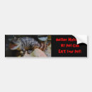 Search for alligators bumper stickers Humour