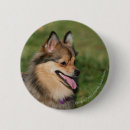 Search for panting badges Dog