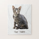 Search for cat puzzles Design