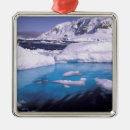 Search for antarctica christmas tree decorations Coast