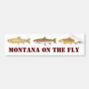 Search for montana bumper stickers Trout