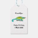 Search for chameleon crafts party Lizard