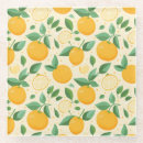 Search for citrus fruit coasters Tropical