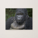 Search for silverback gorilla toy games Endangered