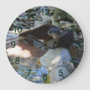 Search for otter clocks Animal