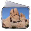 Search for joshua tree electronics Nature