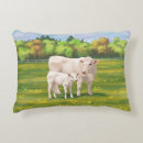Search for beef cushions Livestock