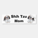 Search for shih tzu bumper stickers Dog