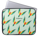 Search for colourful bird cases Modern