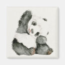 Search for pandas magnets Zoo