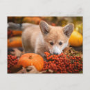 Search for cute corgi postcards Fall