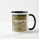 Search for javelin mugs Field