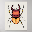 Search for entomology posters Insect
