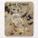 Search for chill photography Animal