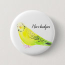 Search for parakeet badges Budgerigar