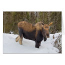 Search for moose art cards Wildlife
