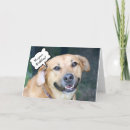 Search for smiling dog birthday cards Fun