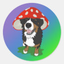 Search for red mountain stickers Bernese mountain dog