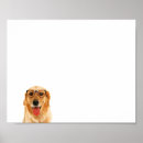 Search for funny dog posters Animal lovers