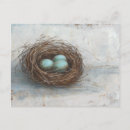 Search for bird eggs postcards Animals