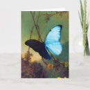 Search for morpho cards Blue morpho butterfly