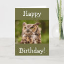 Search for spots cards Nature
