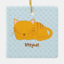 Search for sleeping cat christmas tree decorations Cats