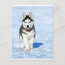 Search for wintery cards Blue