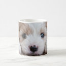 Search for cutest mugs Cute baby animal