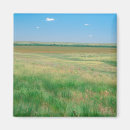 Search for grassland magnets Nature