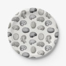 Search for anatomy plates Brain
