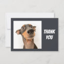 Search for silly looking Dog
