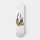 Search for lizard skateboards Cartoon